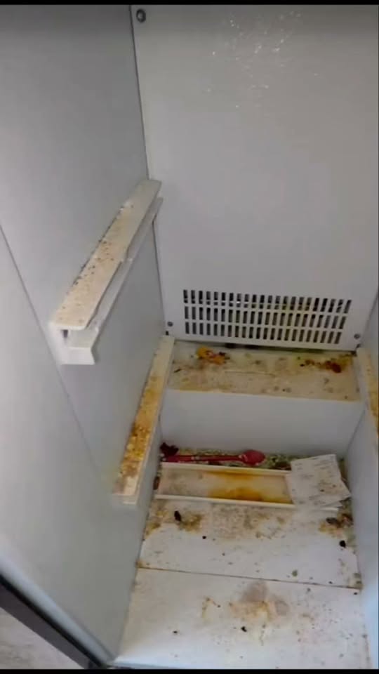 Professional refrigerator cleaning - cleanliness
