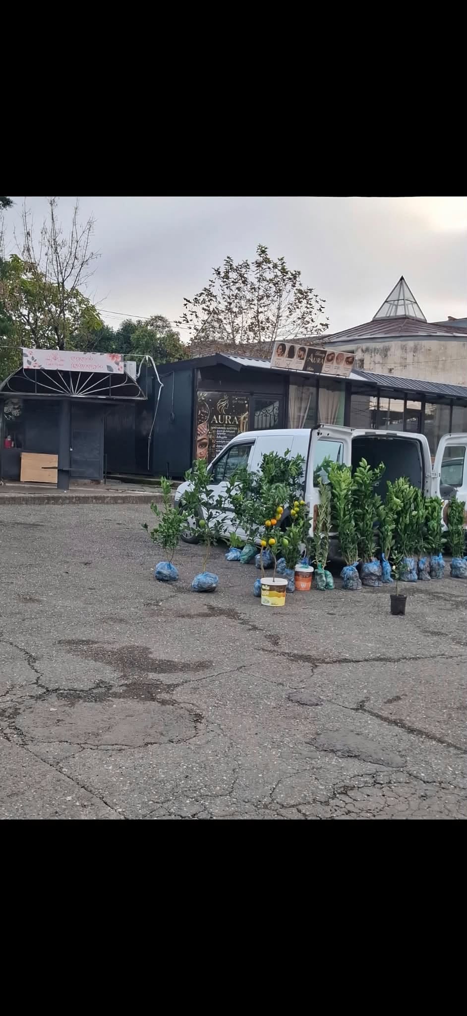 Satıcılarımızla birlikte su bazaresinde tüm turunçgillere sahibiz