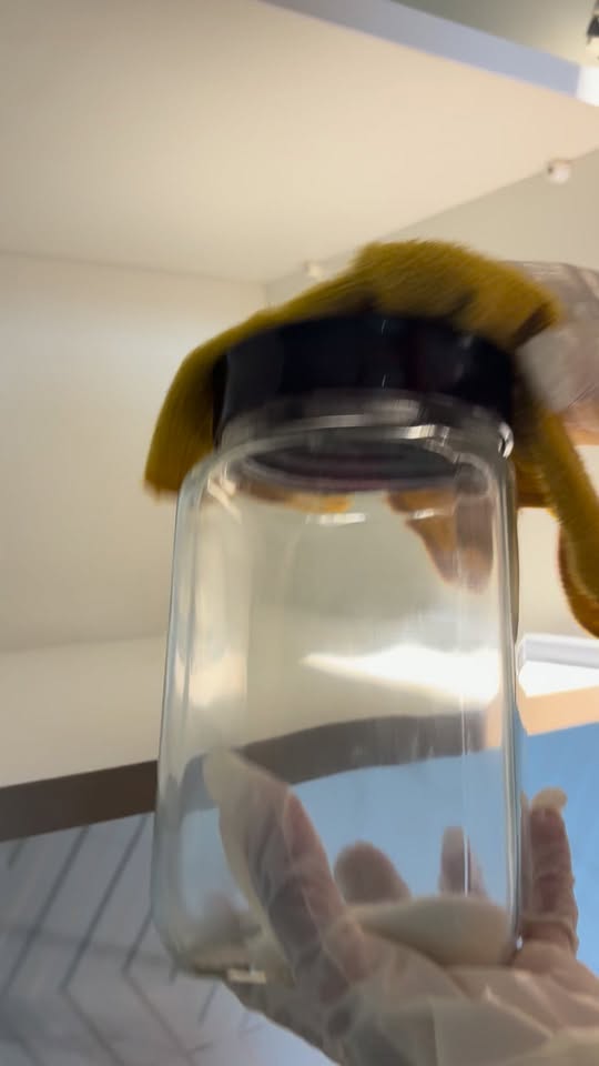 ✨🧼 Təmizlik kiçik detallardan başlanır! 😍🍽️