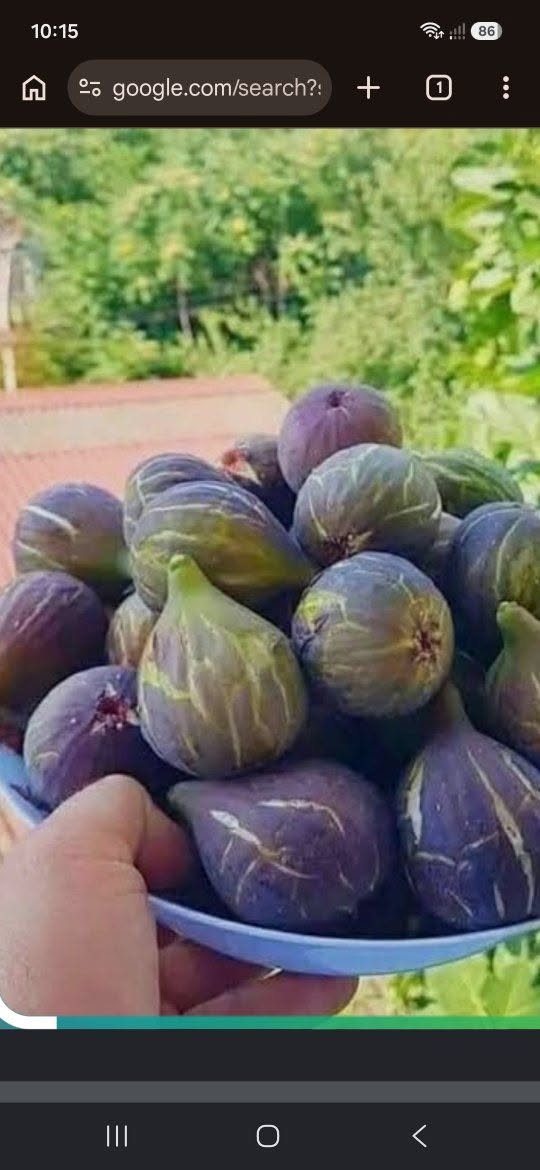 Վաճառվում են 3 տեսակի ընկույզի դրածոներ — 10₾