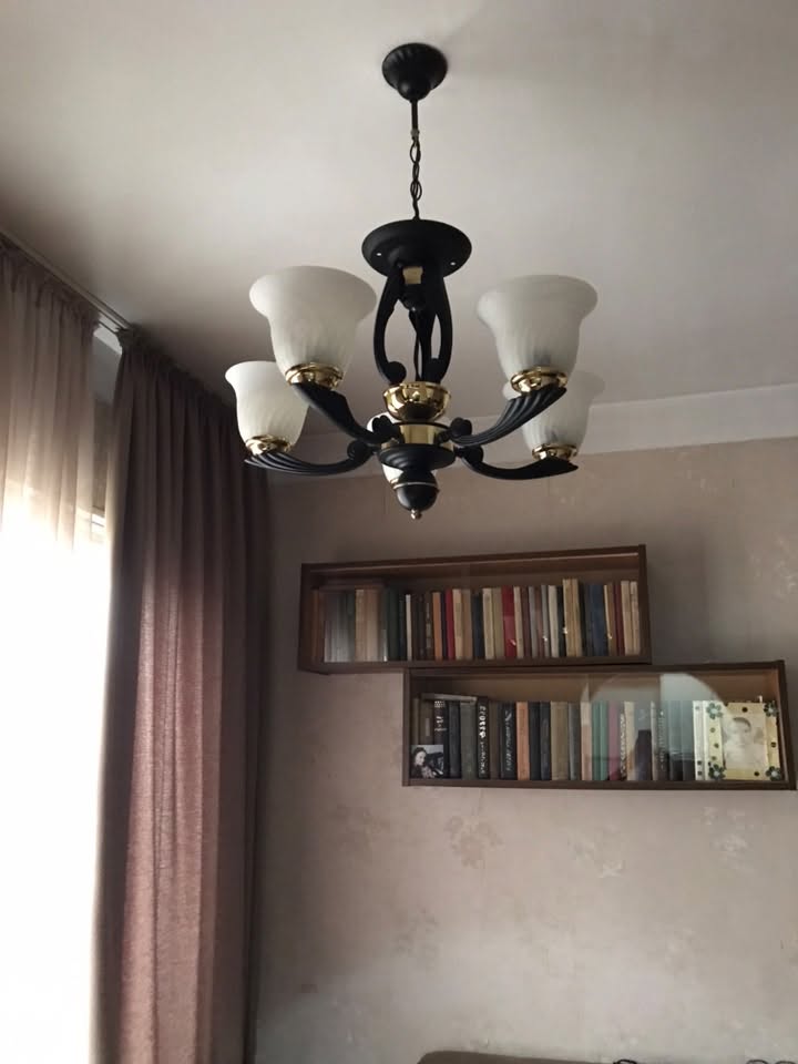 Սև-ոսկեգույն շուն, Թբիլիսի