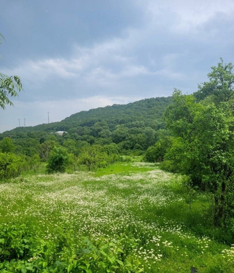 Участок земли, Кутаиси