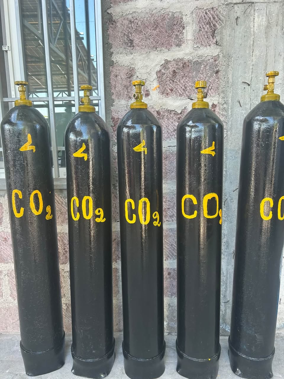 CO2 Բալոներ շապիկ դեպի քում
