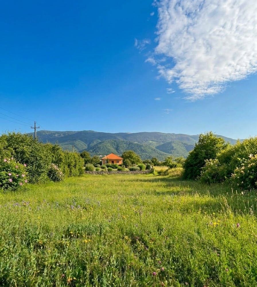 Arazi, Tianeti — $12,500