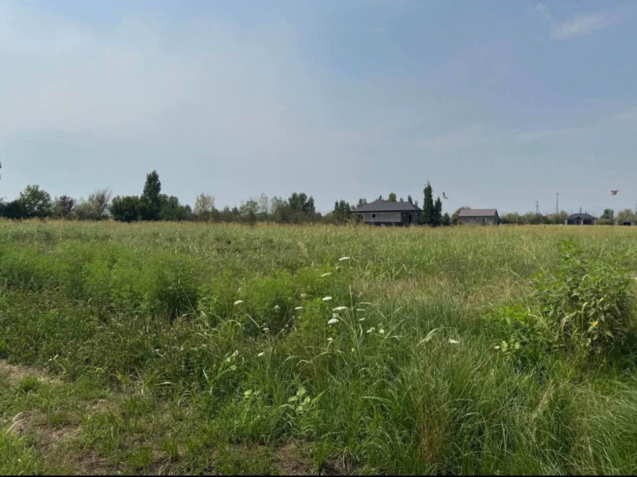 Land area, Marneuli