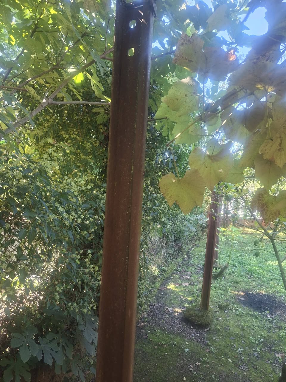 Raylar satılık, 5 adet. 2,50 m. uzunluğunda her biri. Fiyat anlaşma ile. Tel