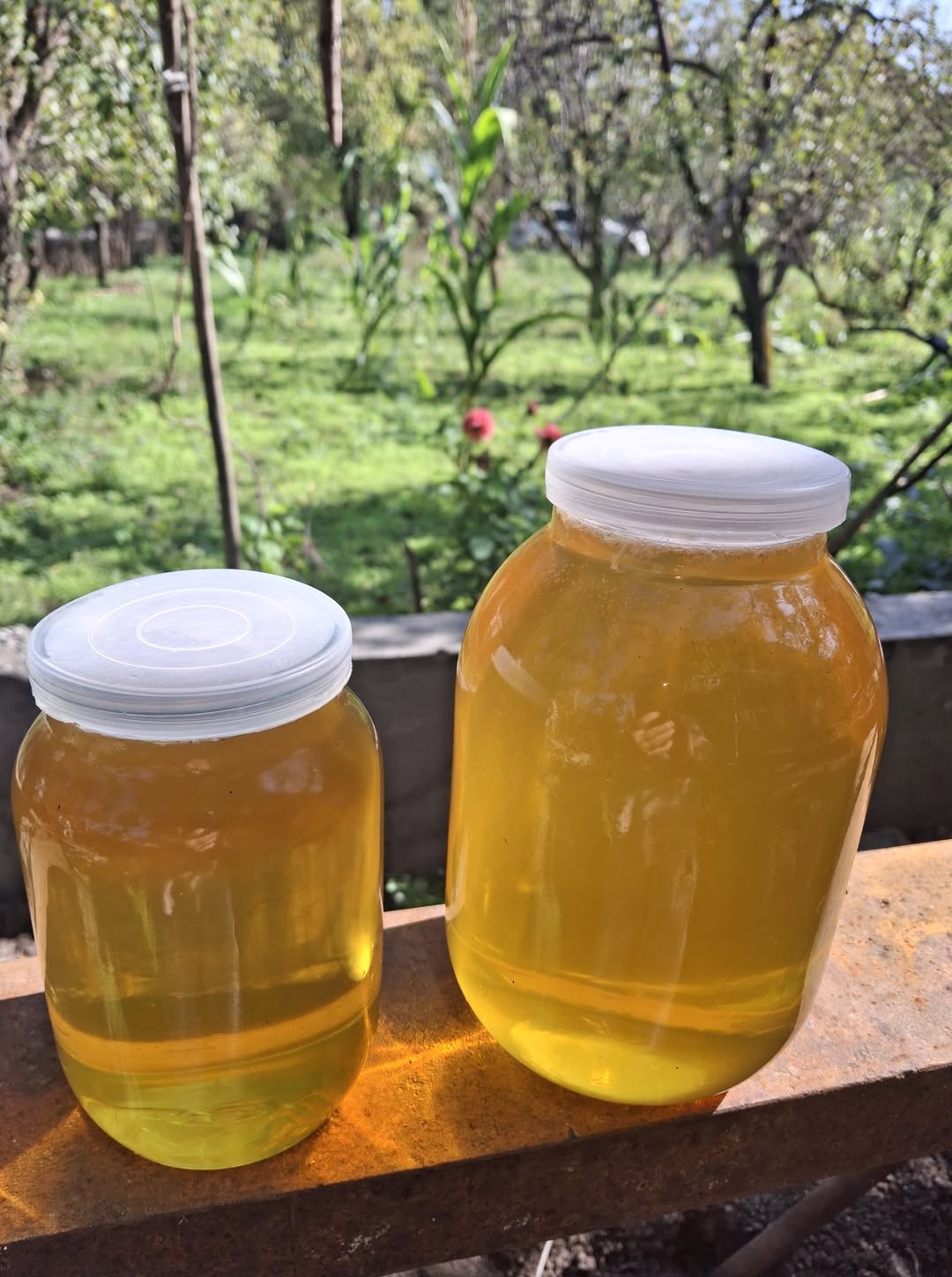 Natural Pshavi wildflower honey