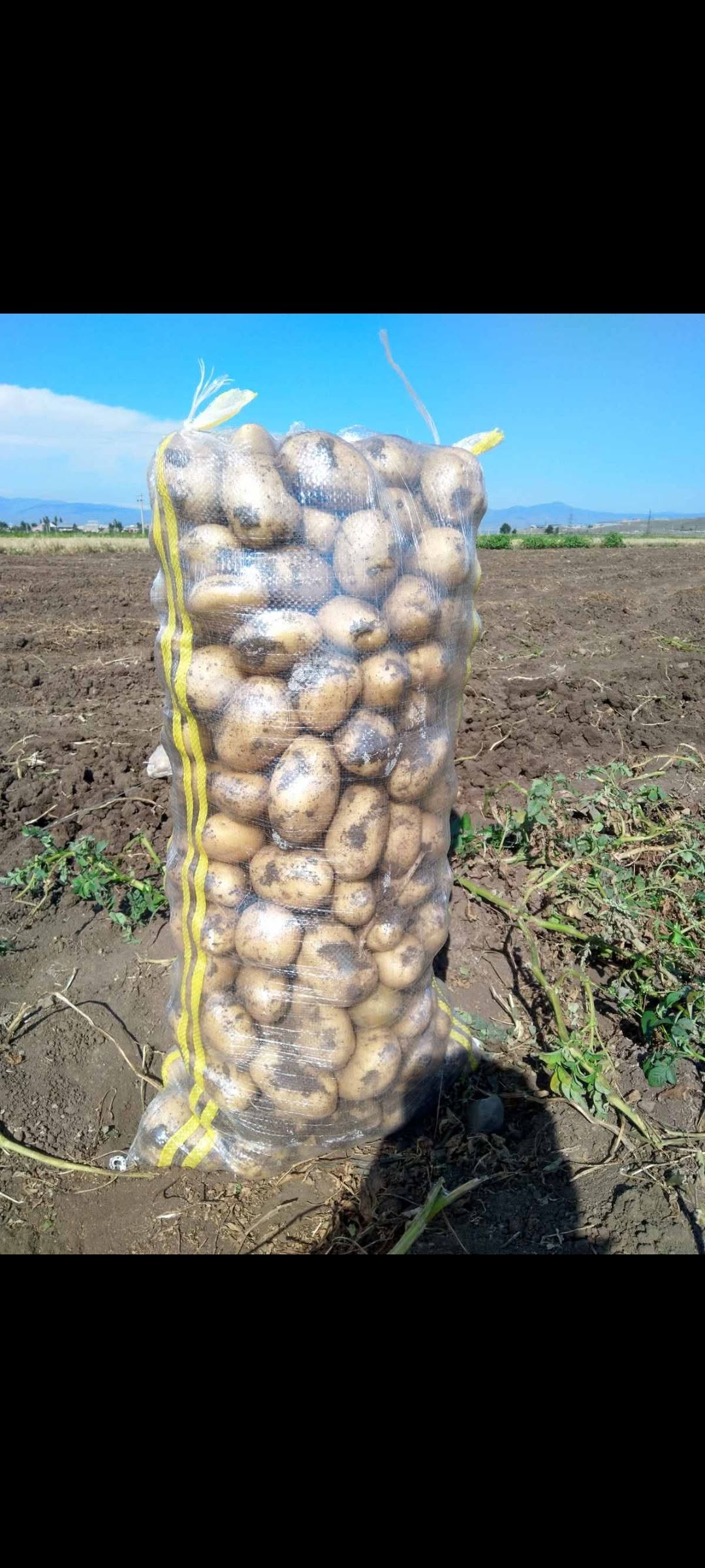 Vacharvume martunu dexin xoshor kartoshka cankacoxnern tercümesi yapılamamıştır. Lütfen geçerli bir metin giriniz.