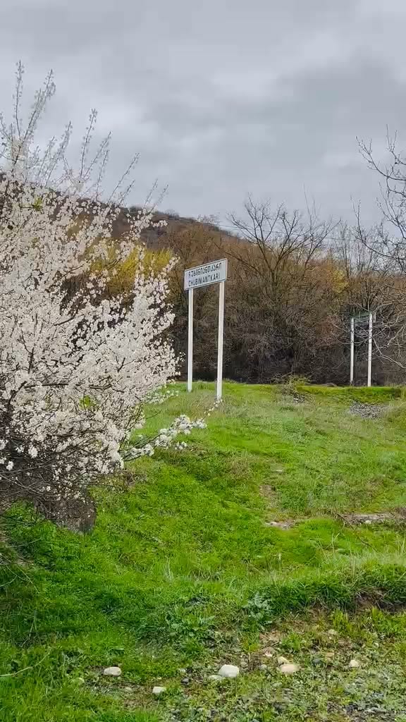 მიწის ნაკვეთი, დუშეთი