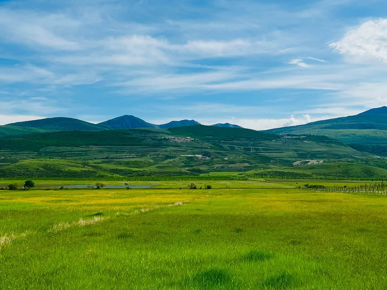 Tiflis arazisi