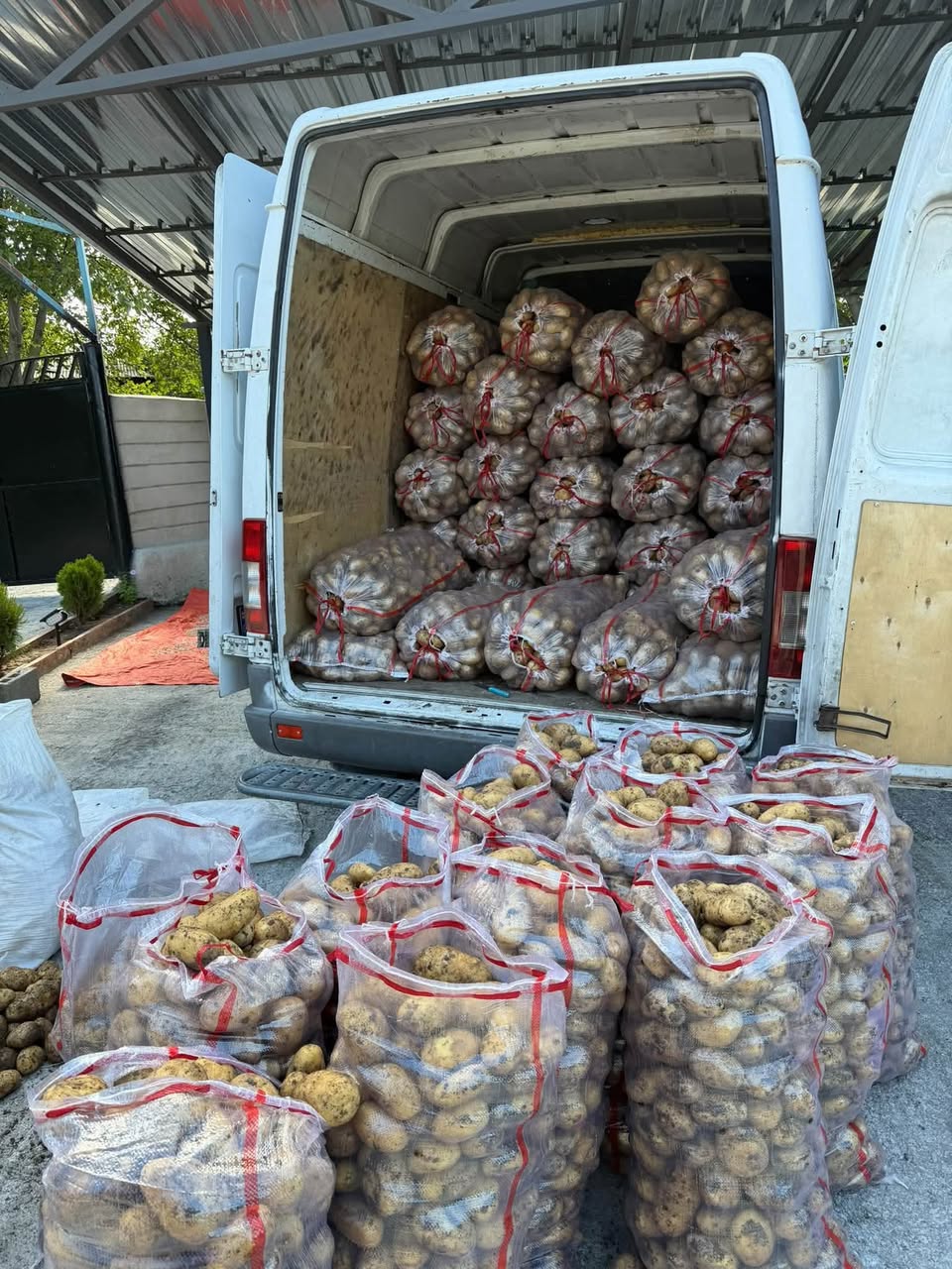 Stok yenilendi Ahılkelek patatesi yerinde — 1.2₾