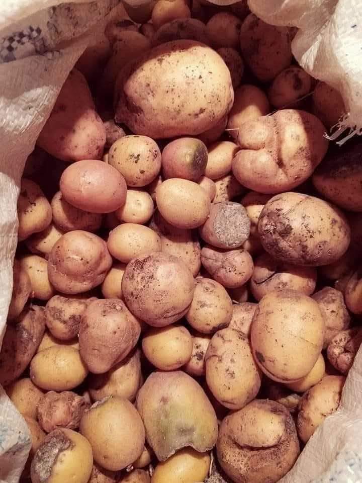❗այսօր ես գնում եմ Ծալկայում և հարակից գյուղերում