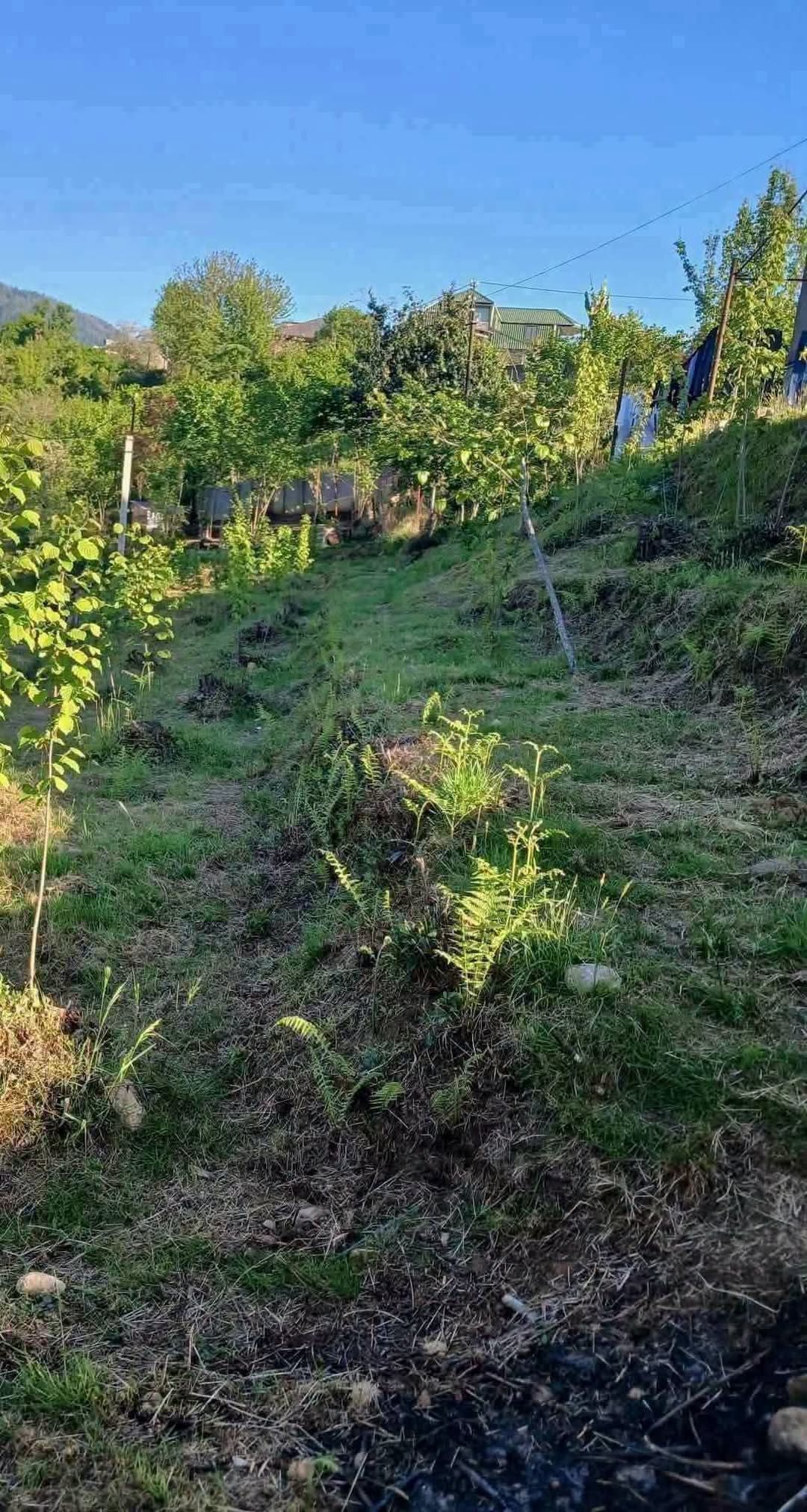 Հողակտոր, Թբիլիսի — $58,000