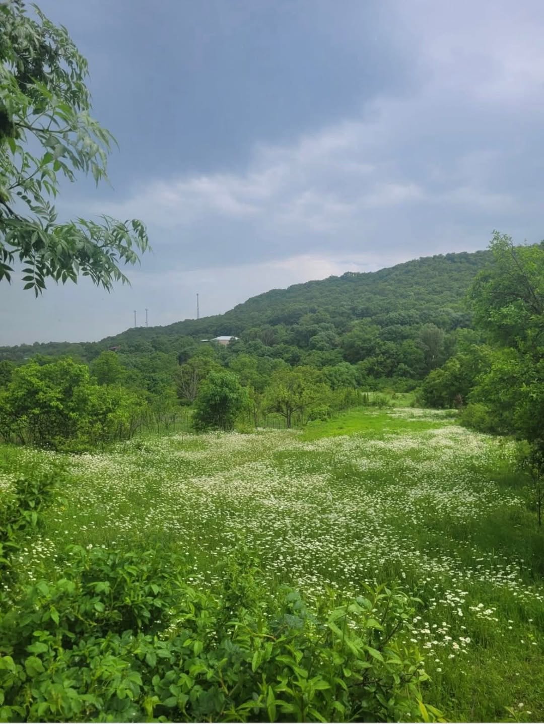 🏡 Ujarmada 480 m² konut 16,000$'a satılık