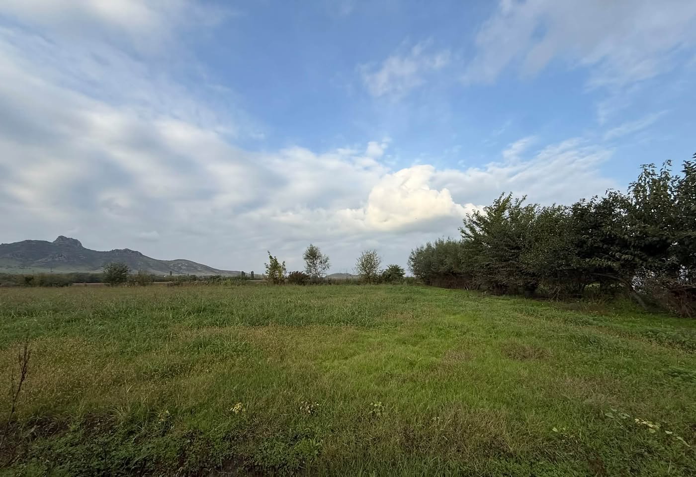 Հողակտոր, Մարնեուլի — $10,000
