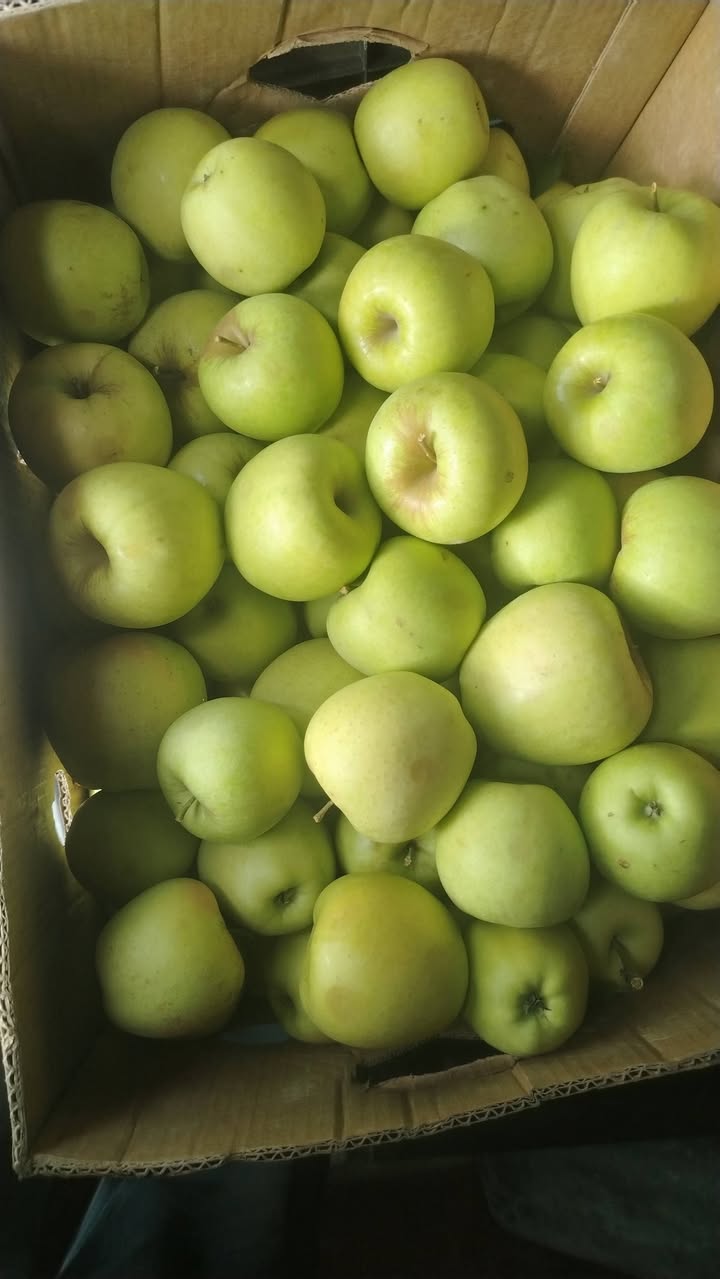 🌿🍏 Güvene teşekkür ederiz! ❤️ Stoklar dolduruldu — 2₾
