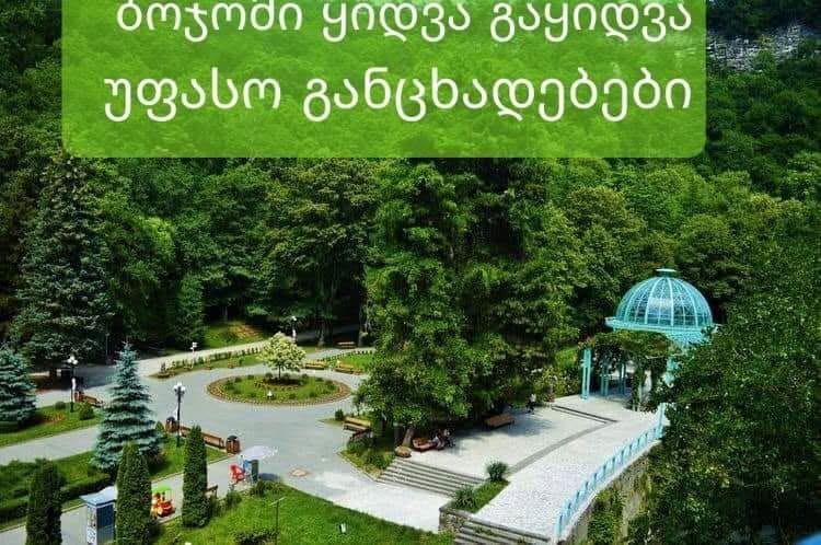 Kiralıq 1-otaqlı mənzil, Borjomi