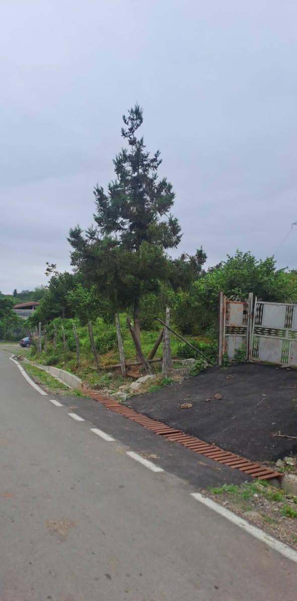 Land plot, Kobuleti