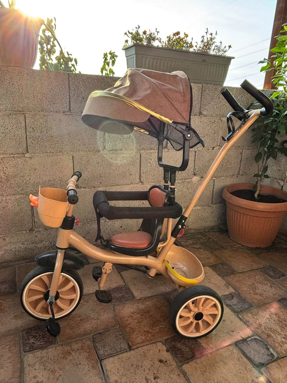 Kids tricycle with canopy and handle