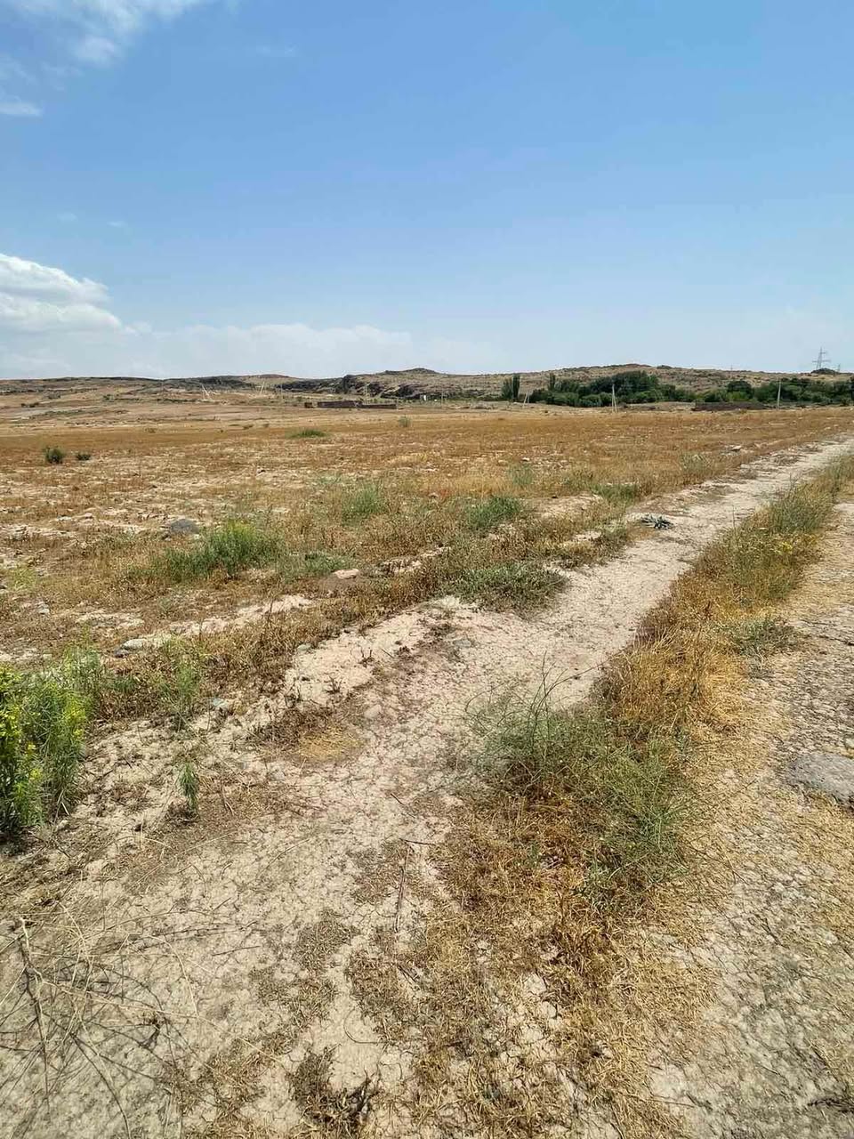 Գյուղատնտեսական հող, 4000 քմ