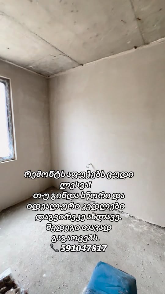 Apartment renovation services