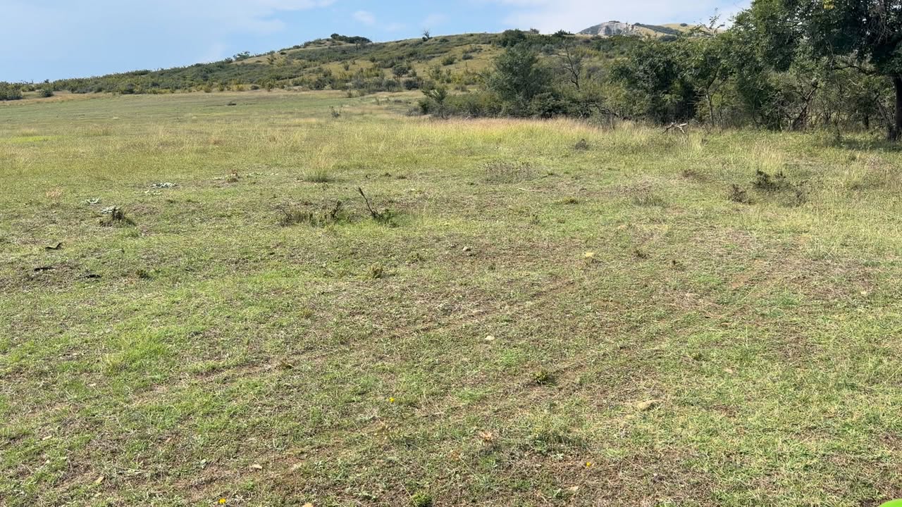 Հող