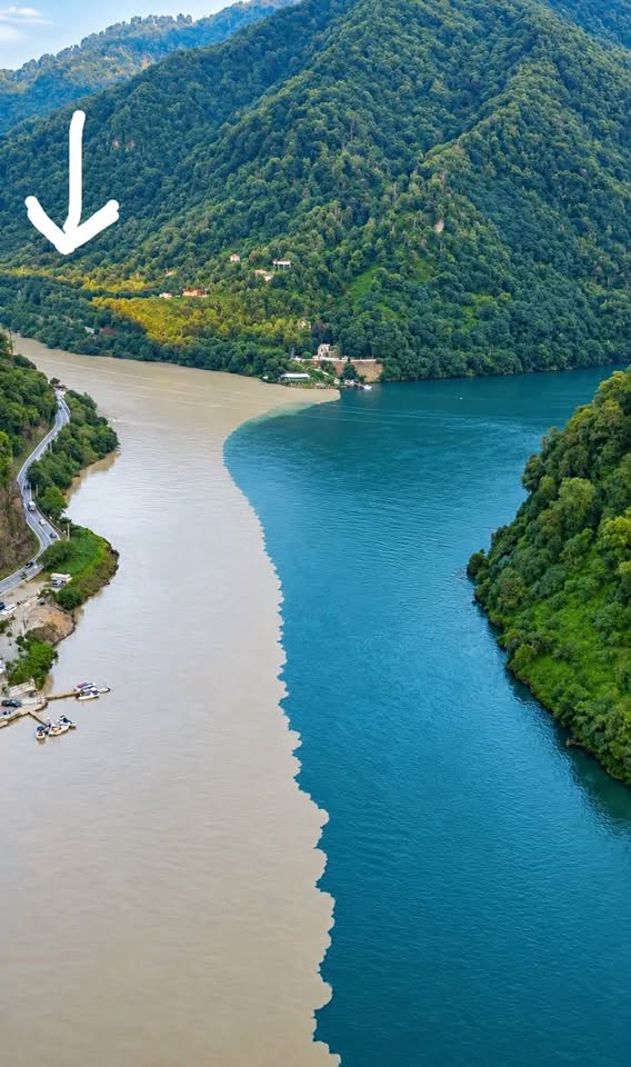 მიწის ნაკვეთი, ბათუმი — $20