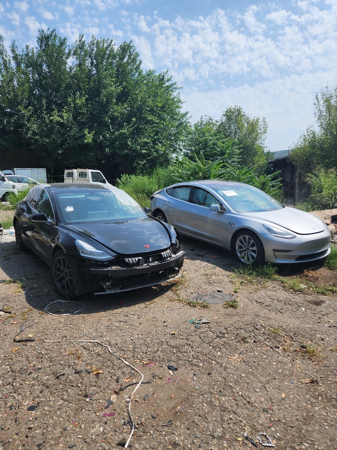 Կարծում եմ մենք ունենք նոր մասեր էլ:
