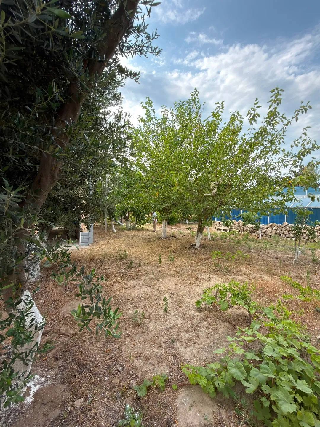 Bahçe evi, Erivan — 175,000 ₼