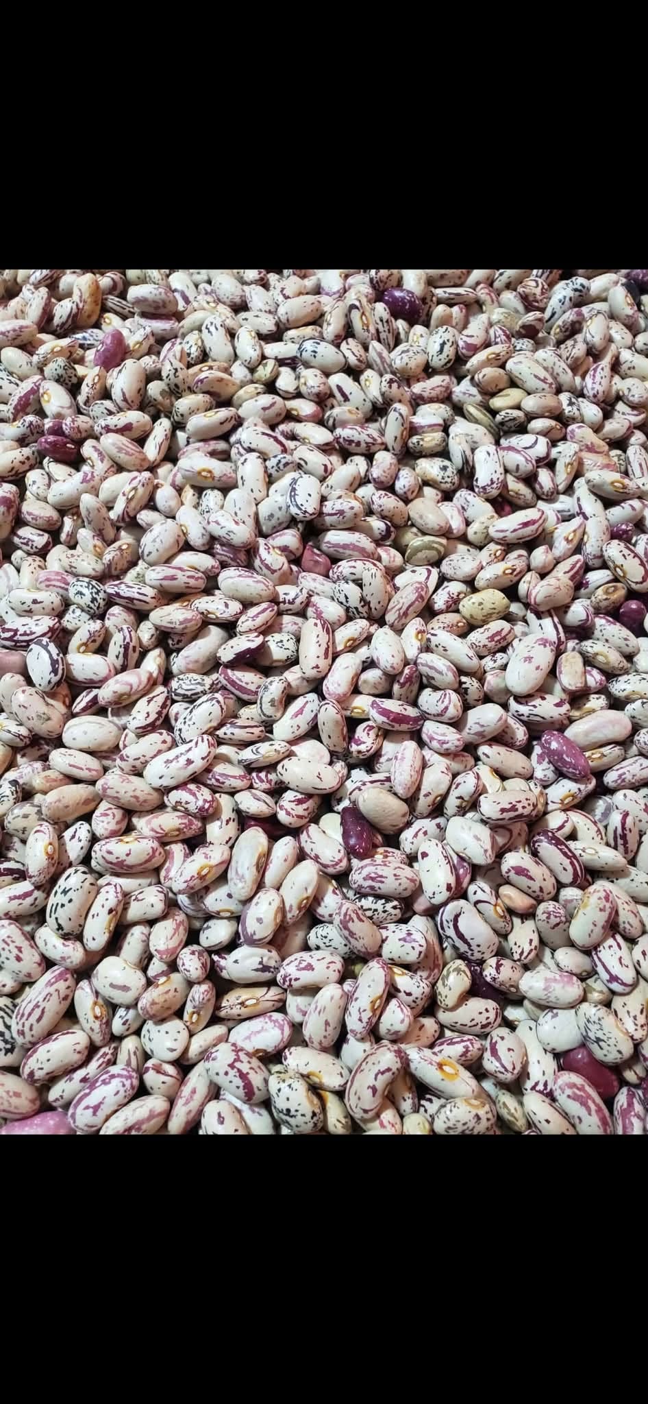 Kidney beans for sale, I have a large quantity, 1kg — 3.5₾