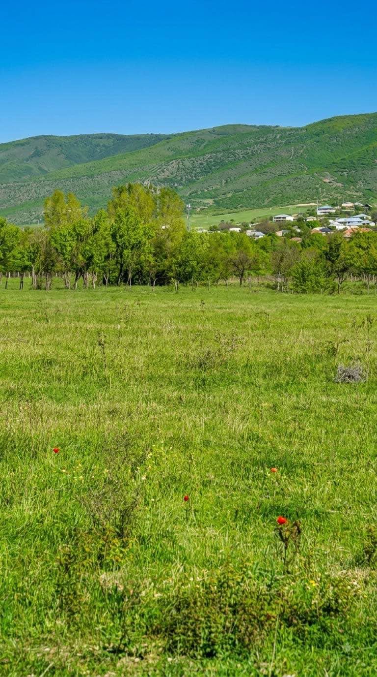 Հողակտոր, Թբիլիսի — $10,000