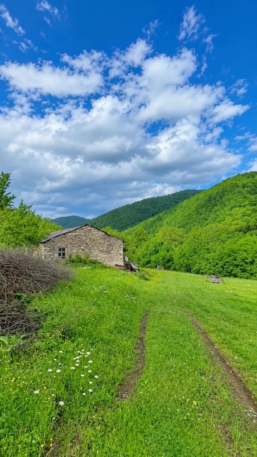 Plot of land, Tianeti — $17,000