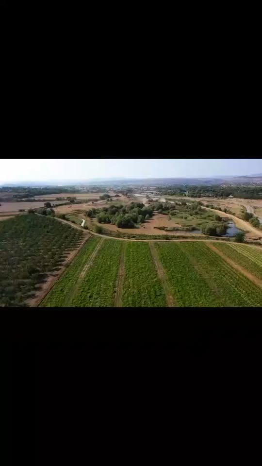 Kommersiya sahəsi, Bolnisi — $1,700,000