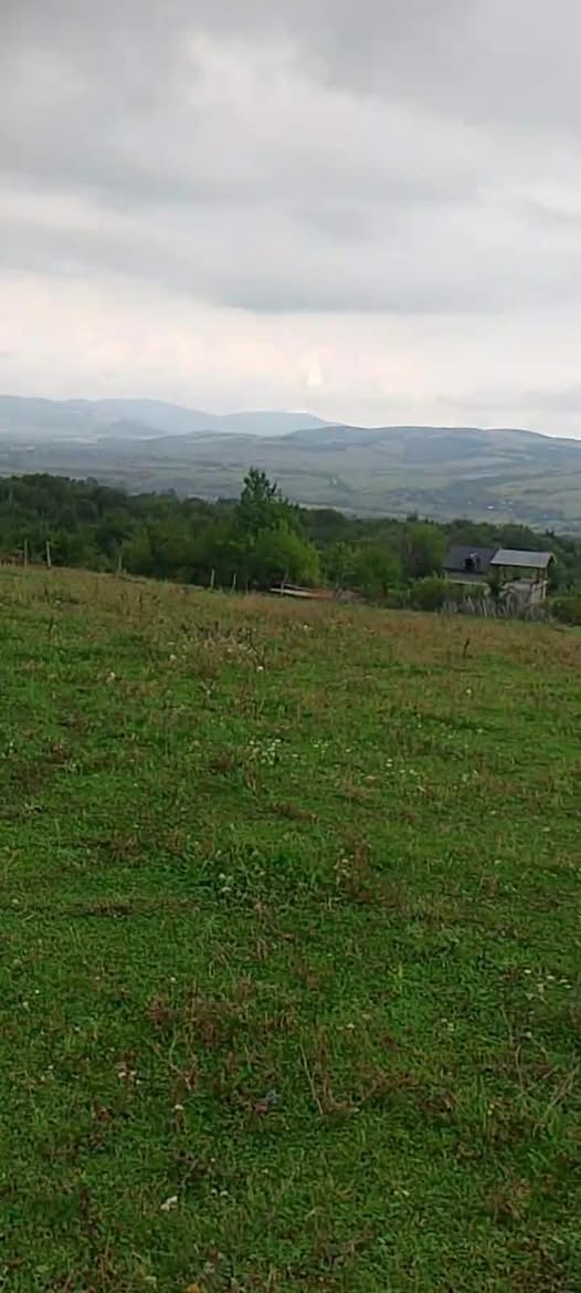 For sale in Tianeti, Magraneti, 2500 sq.m, $12,500, half 1250 sq.m