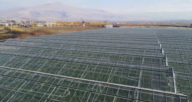 Գործող ջերմոցներ, 1,5 հեկտար, Աբովյան