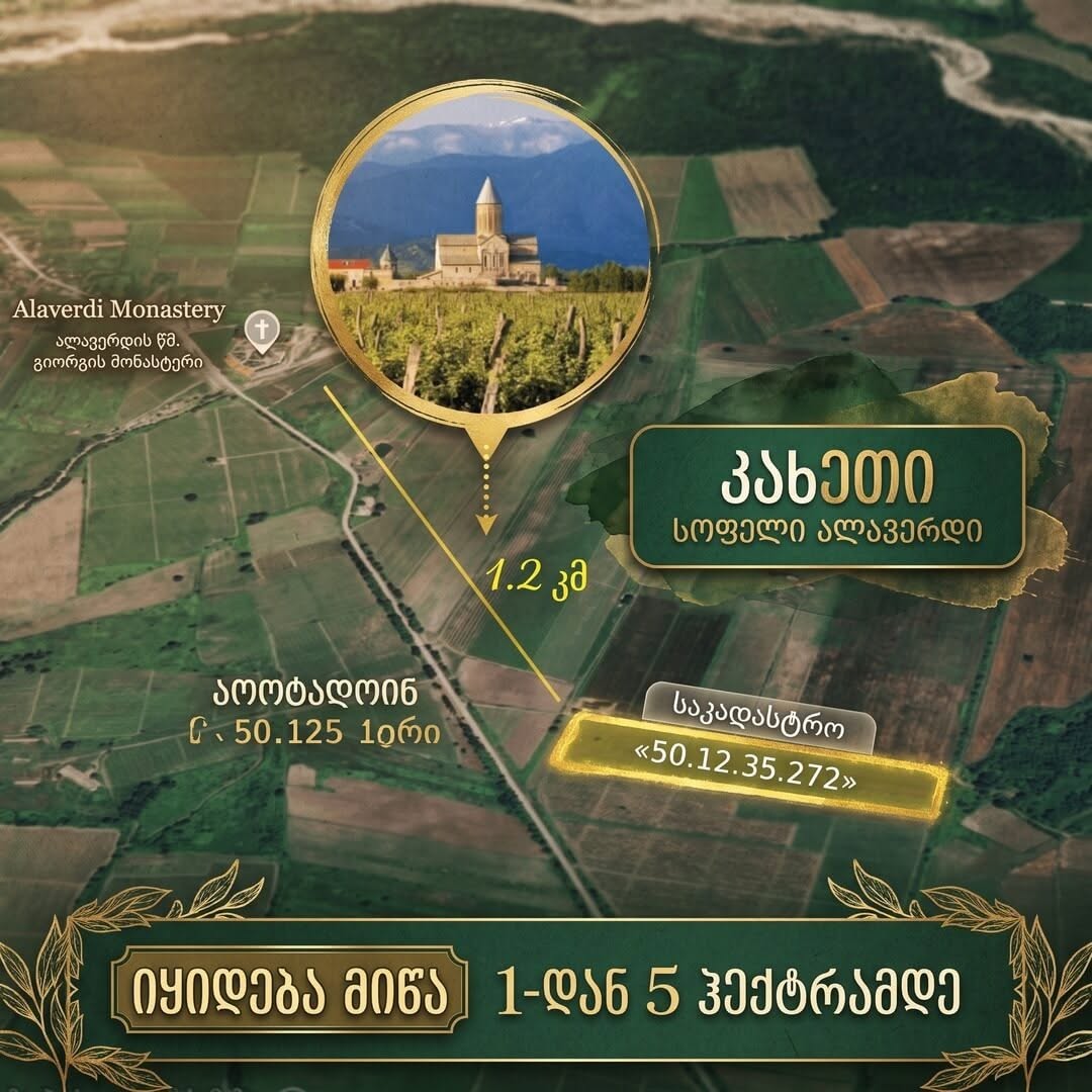 Land plot, Telavi