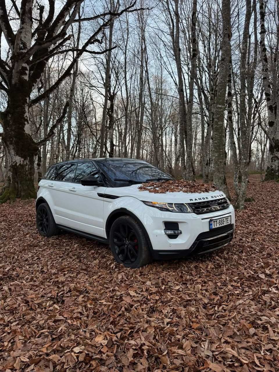 Range Rover Evoque 2015