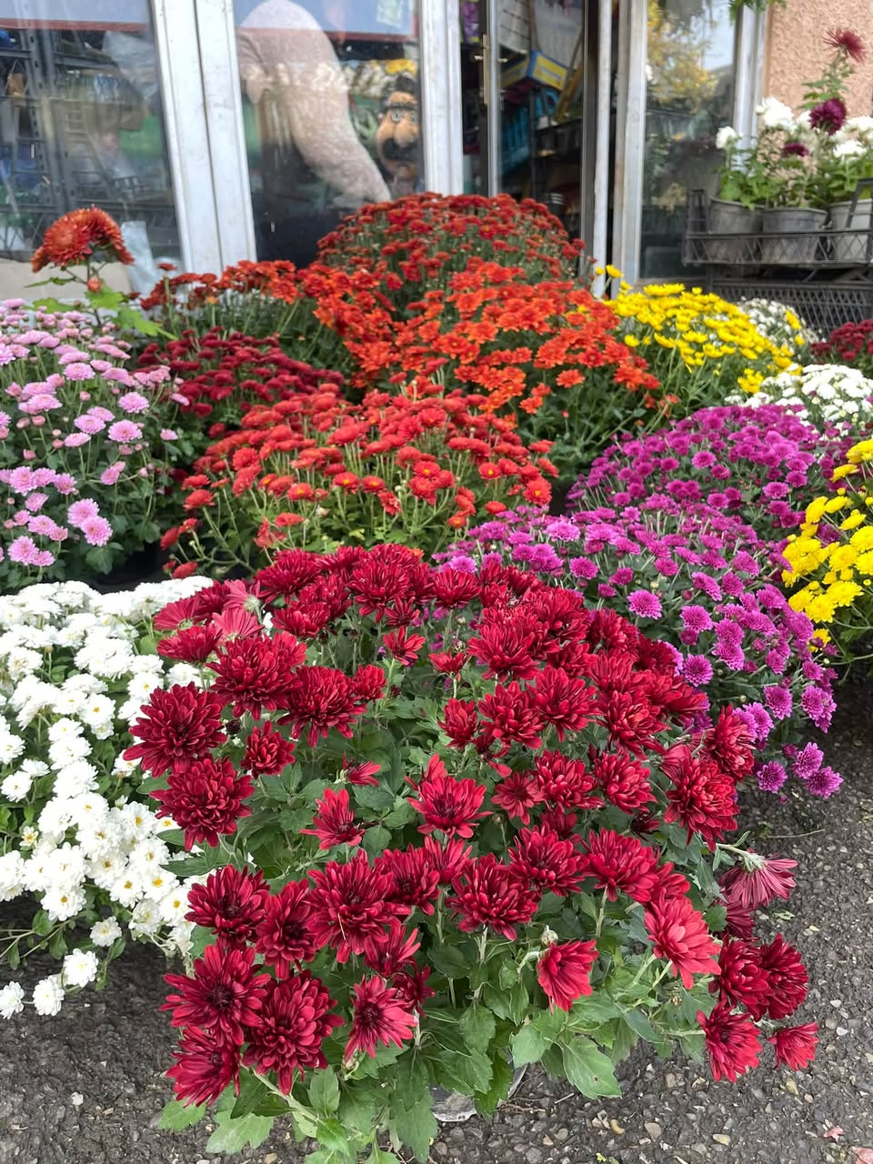Yeni ürünler 🌸 ve birçok renk eklendi