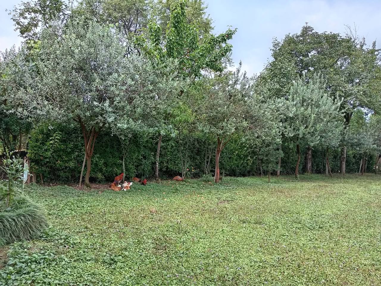 Merhaba, Zugdidi'ye yakın, İnguri'de, tren istasyonunda, 2000