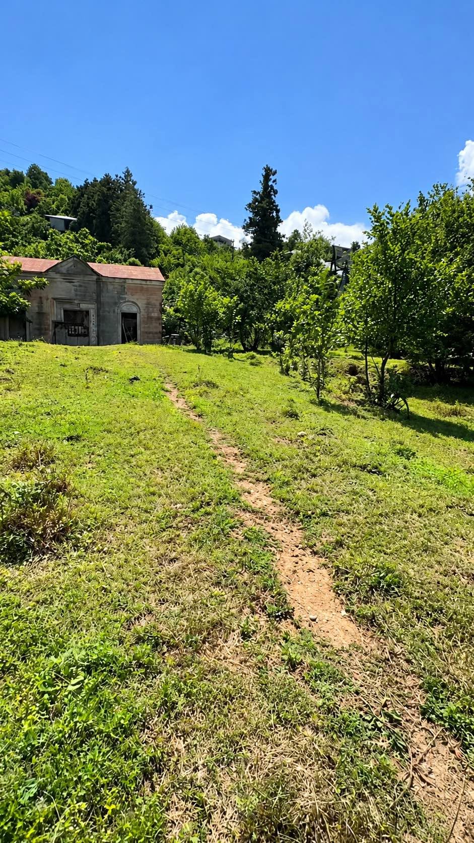 🌿 7000 մ² գյուղատնտեսական հող — 50$