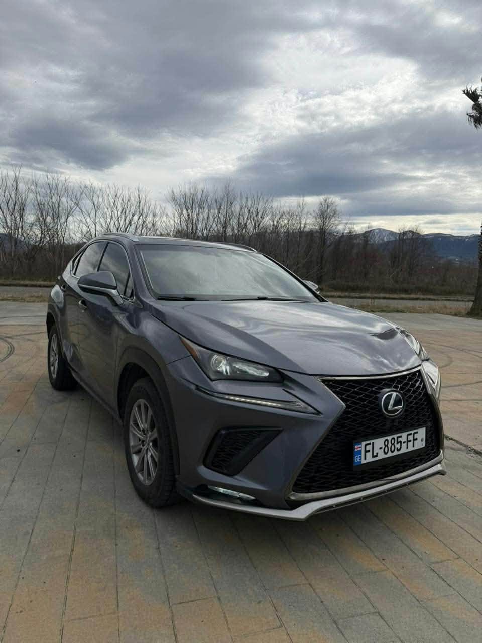Lexus NX