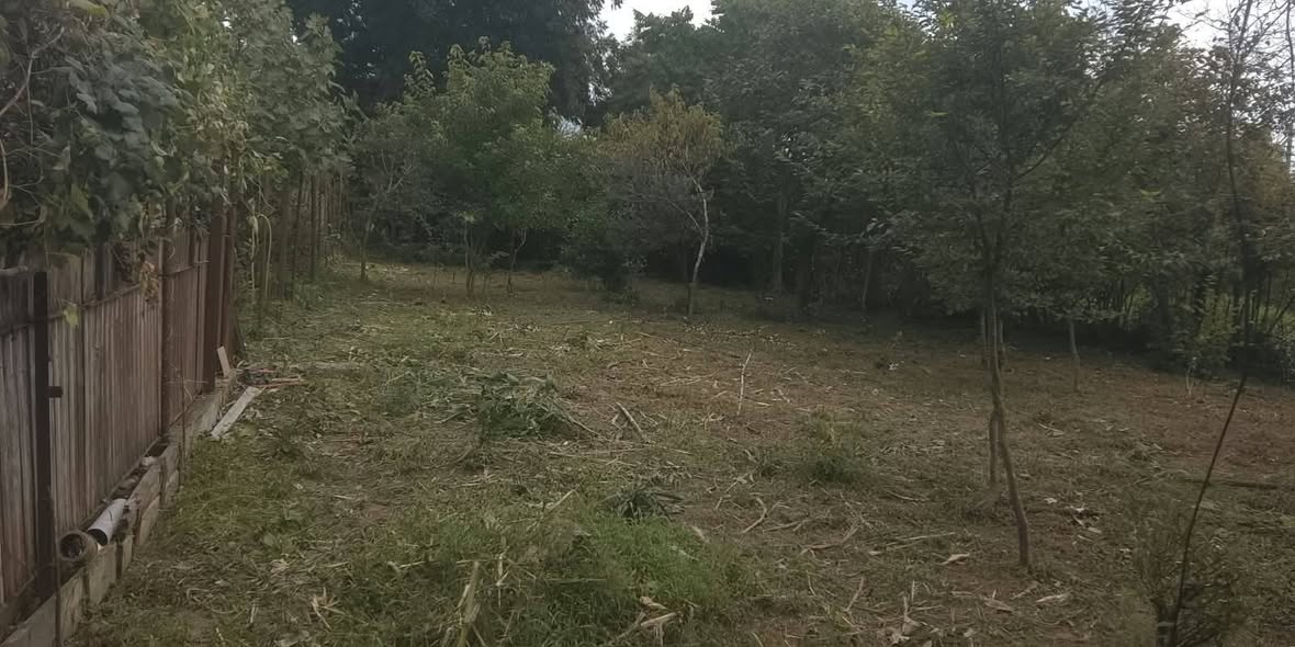 Biqvavas küçəsində 1000 kv ərazisi olan yaşayış sahəsi satılır - 17,000$