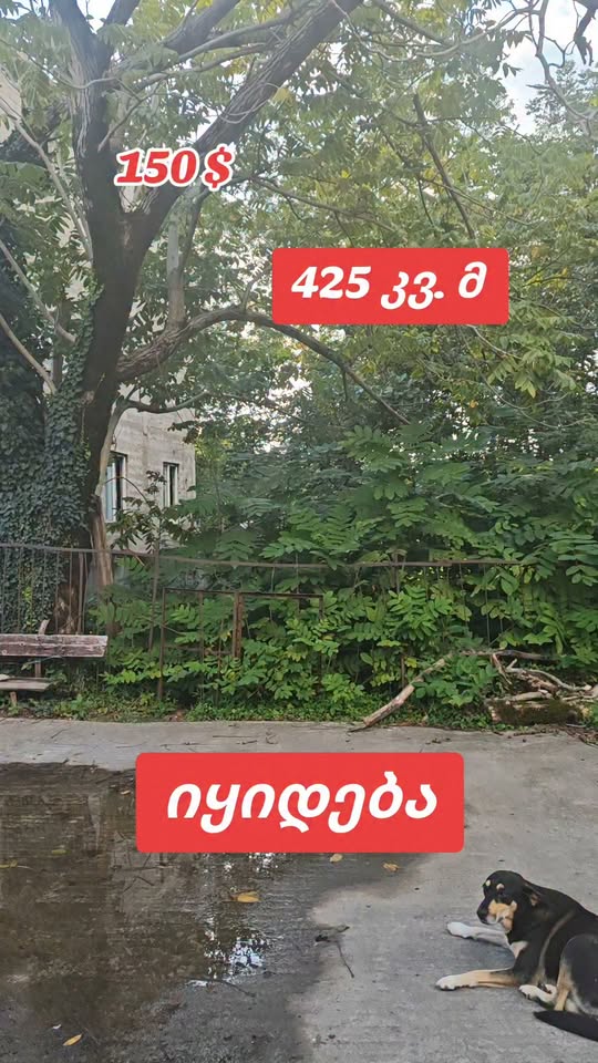 Torpaq sahəsi 425 kv.m