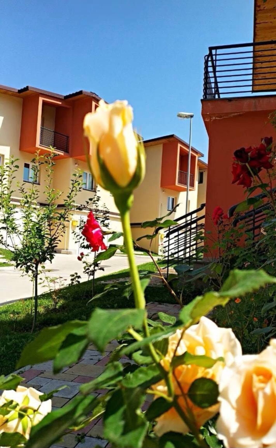 Վարձով 2 հարկանի առանձնատուն, Դիլիջան