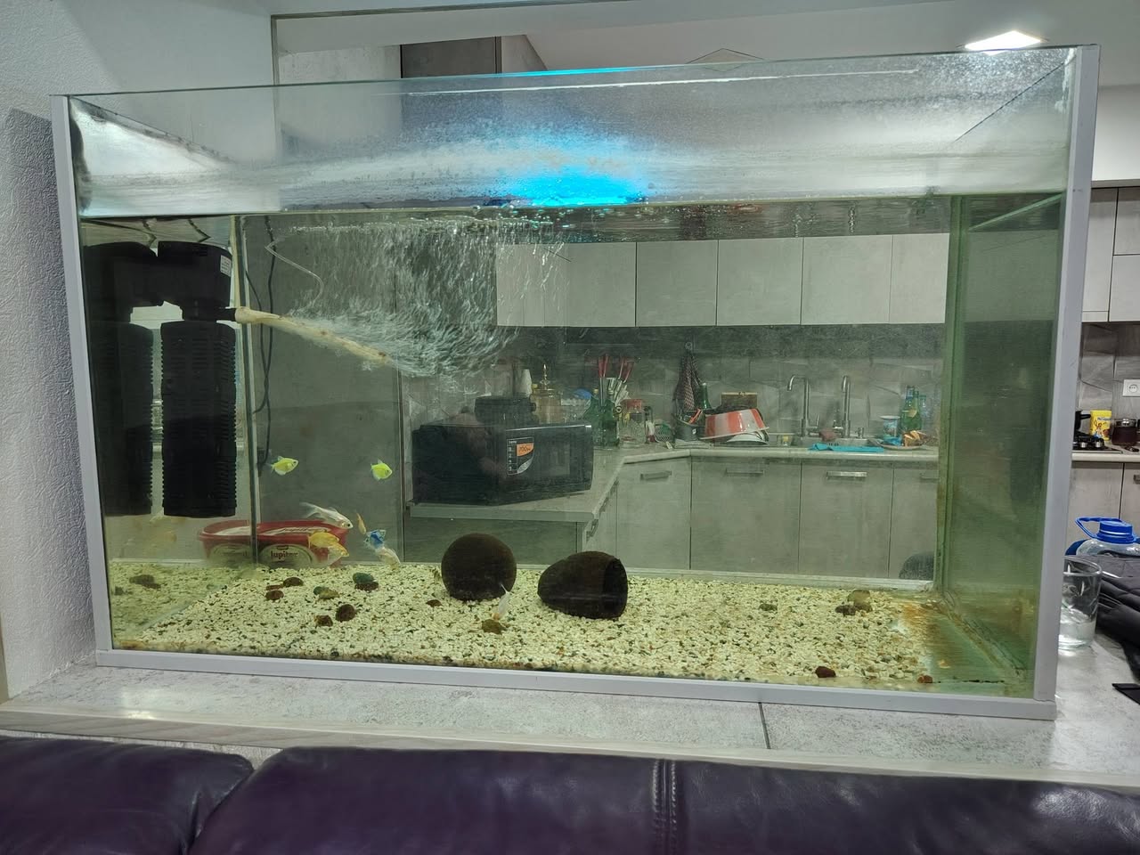 Satılır akvarium balıqlarla, filtrlə, işıqlandırma ilə