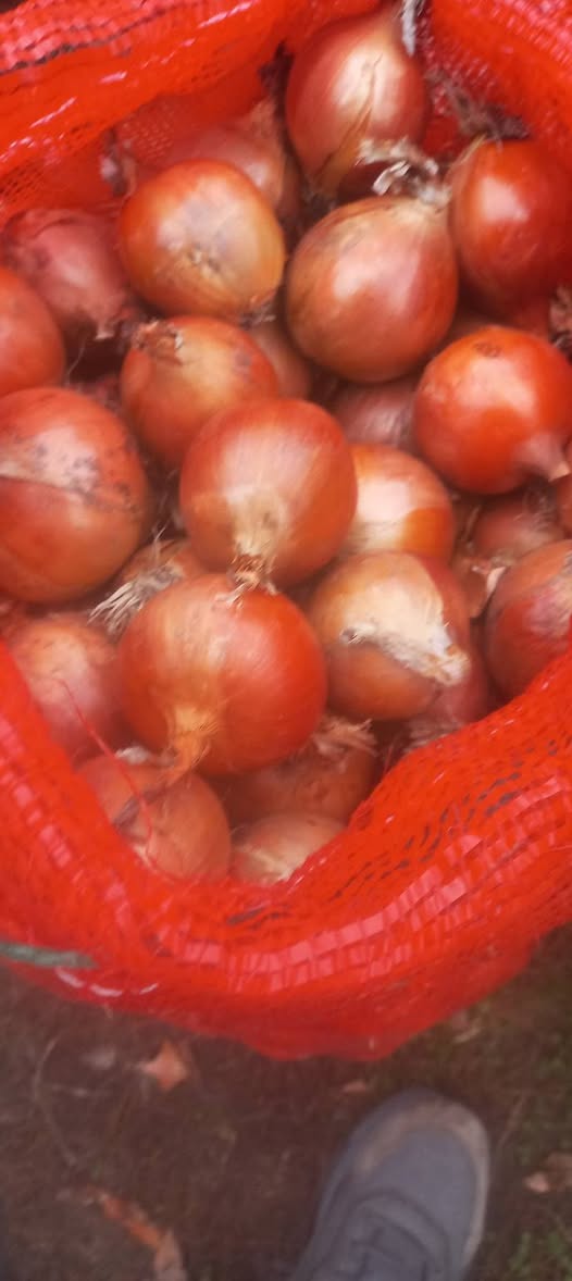 Garlic is for sale. Price 1 lari