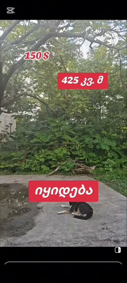 Участок земли, Хелвачаур