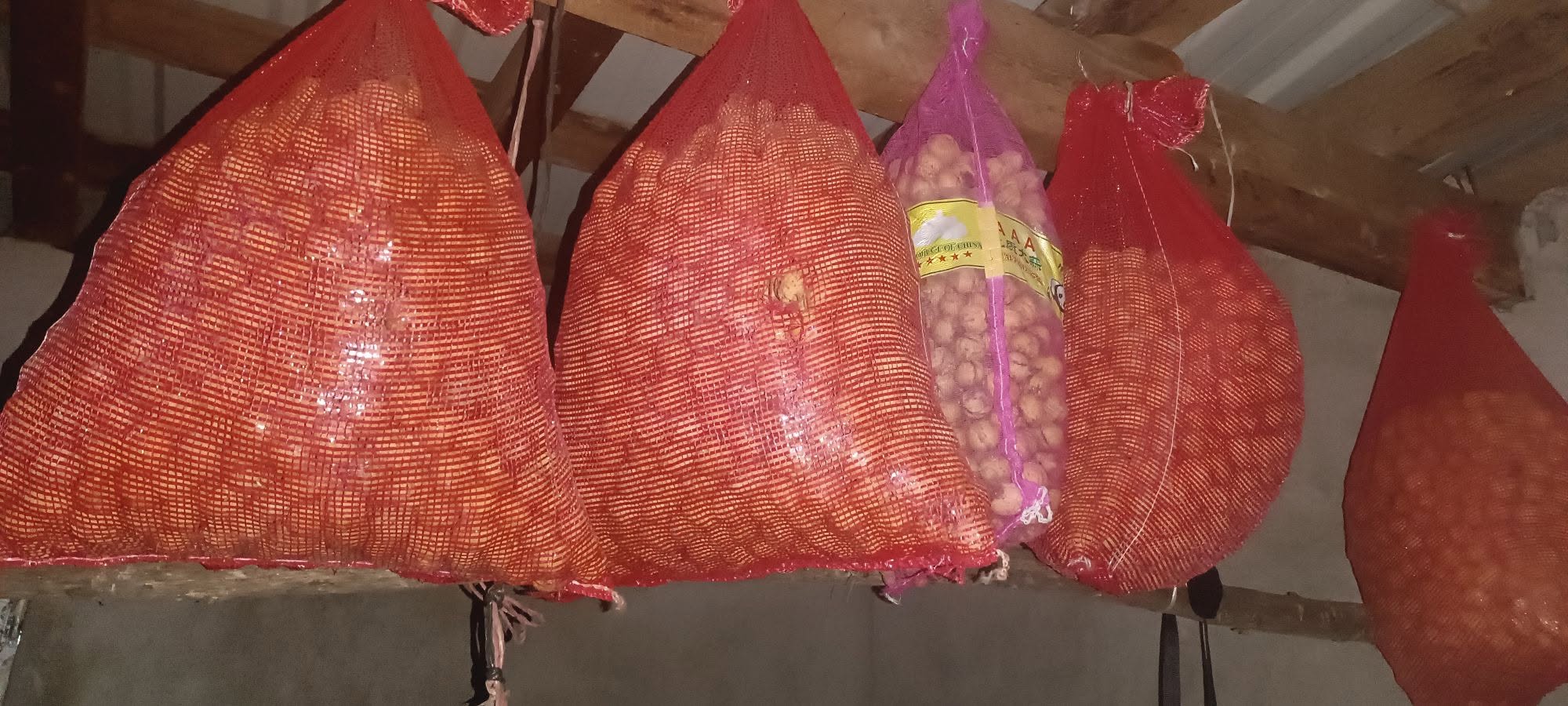 Kakao tohumları satılık, tonlarca