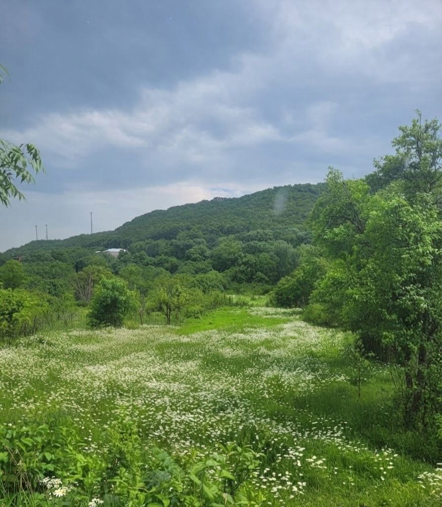 Your dream villa in Ujarma for $1,000