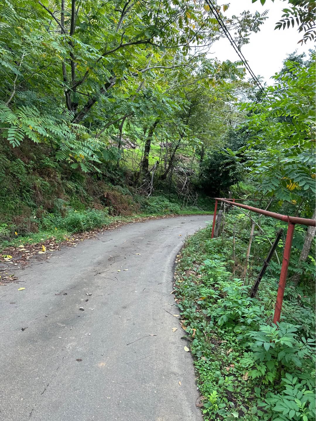 Torpaq sahəsi, Batumi
